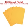 image:imageStaples 30 Recycled 85 x 11 Inch 20 lbs 500Sheets Pack Blue For Office School amp HomeGoldenrod