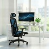 image:imageStaples Dexley Ergonomic Task Chair Mesh Ergonomic Lumbar Support Adjustable Height BlackBlue