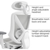 image:imageStaples Dexley Ergonomic Task Chair Mesh Ergonomic Lumbar Support Adjustable Height BlackGrey