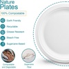 image:imageStaples Perk Eco 9 Inch Paper Plates 250 Count Bulk Disposable Plates for Everyday Meals Parties amp Events