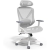 image:imageStaples Dexley Ergonomic Task Chair Mesh Ergonomic Lumbar Support Adjustable Height BlackGrey