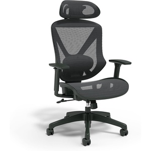 image:imageStaples Dexley Ergonomic Task Chair Mesh Ergonomic Lumbar Support Adjustable Height BlackBlack