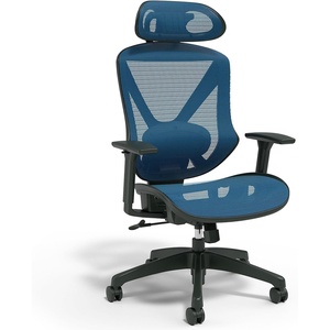 image:imageStaples Dexley Ergonomic Task Chair Mesh Ergonomic Lumbar Support Adjustable Height BlackBlue