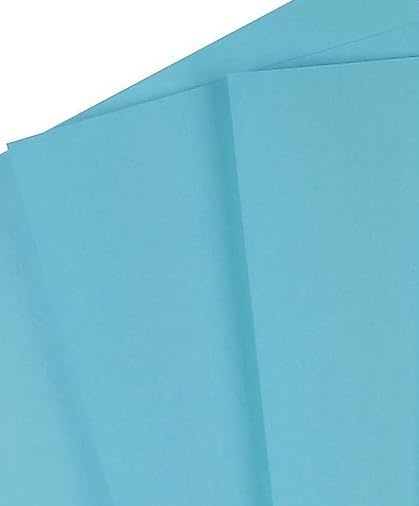 image:imageStaples Brights 24 Lb Colored Paper Green 500Ream For Everyday Use at Home or OfficeBlue