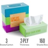 image:imagePerk Ultra Soft Facial Tissues 2Ply 160 SheetsBox 3 BoxesPack 12 PacksCarton FSC Certified Soft Tissue3 Pack