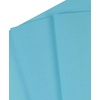 image:imageStaples Brights 24 Lb Colored Paper Green 500Ream For Everyday Use at Home or OfficeBlue